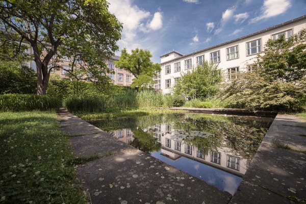 Foto: Garten hinter Barkhausenbau mit Teich